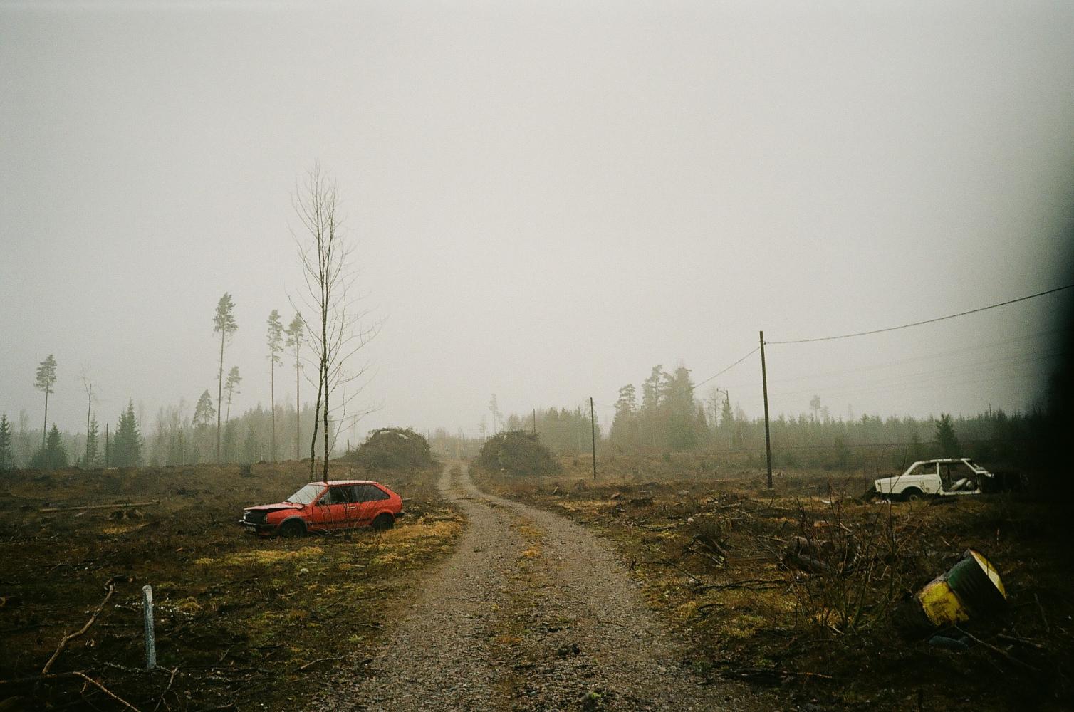 Skogsväg på kalhygge med röd bil