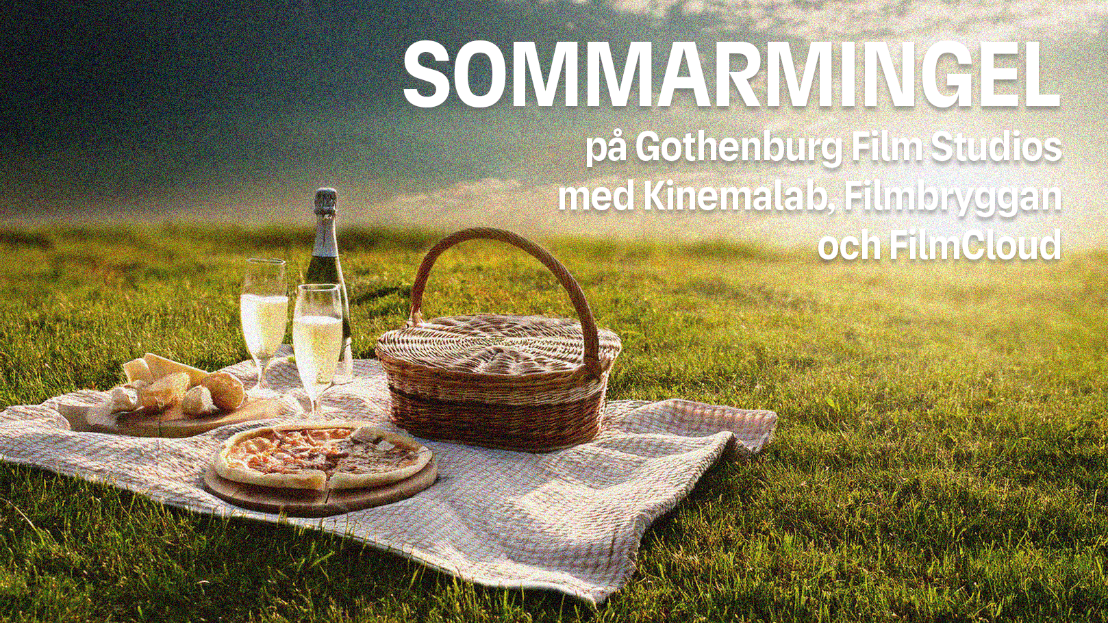 Picnicduk med pizza och bubbel på gräsmatta