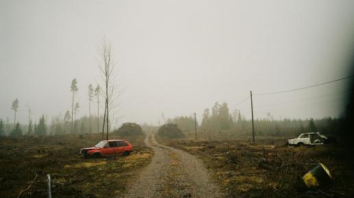 Skogsväg på kalhygge med röd bil