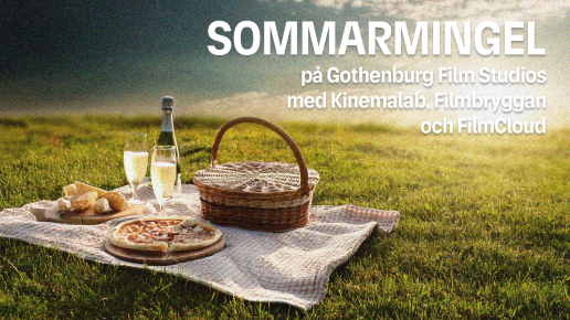 Picnicduk med pizza och bubbel på gräsmatta