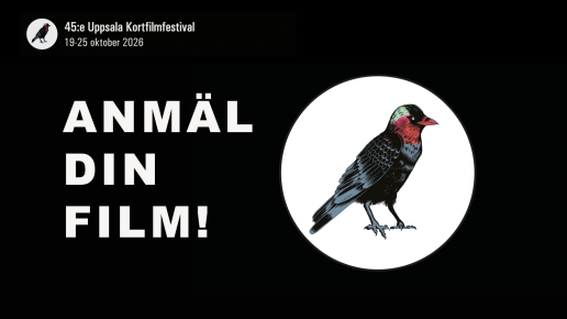 kaja - Festivalens symbol